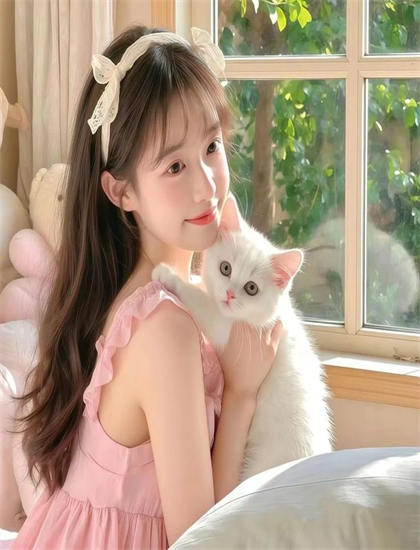 2026春季档《罪恶天使》：上映表现与评价